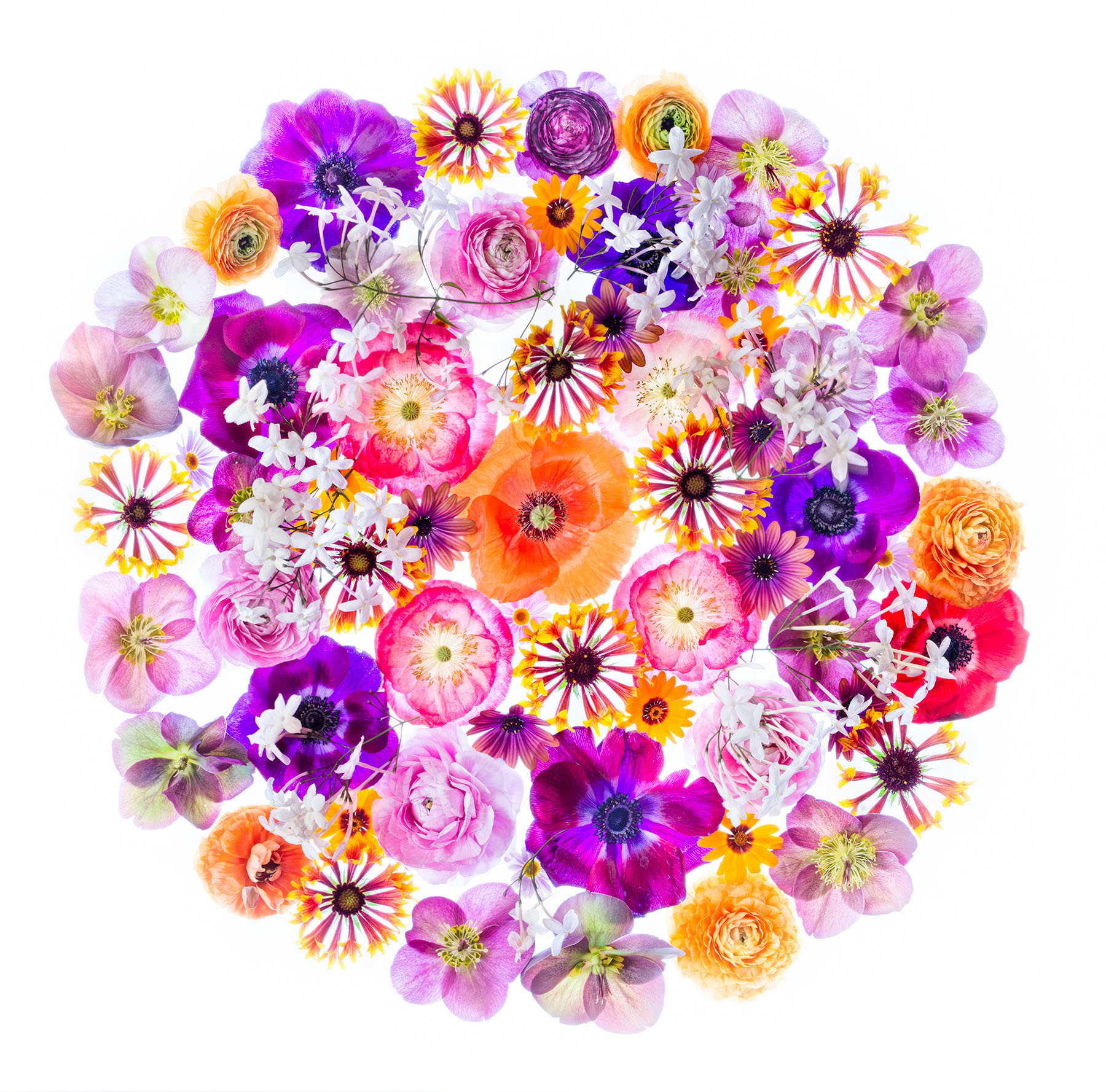 Serenity in the Garden