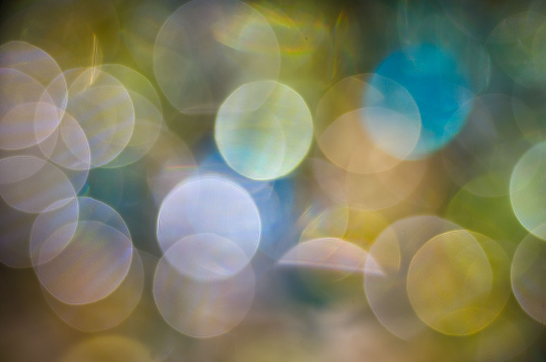 The Lydith Experiment: Writing with Light